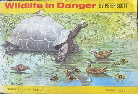 Peter Scott - Wildlife In Danger