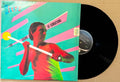 The Sinceros - The Sound Of Sunbathing (Vinyl LP)