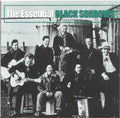 The Black Sorrows - The Essential Black Sorrows (CD)