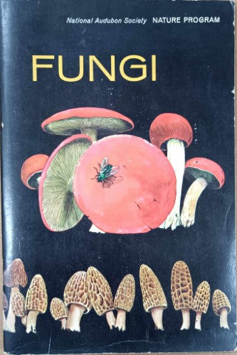 Gertrude McWiulliams - Fungi