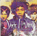 The Jimi Hendrix Experience - Are You Experienced (CD)