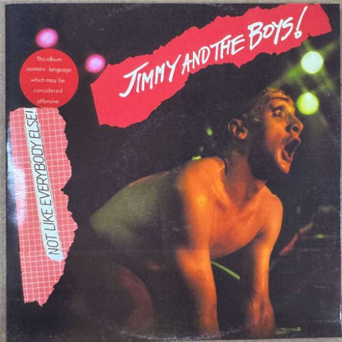 Jimmy And The Boys! - Not Like Everybody Else! / Teddy Boys Picnic (CD)