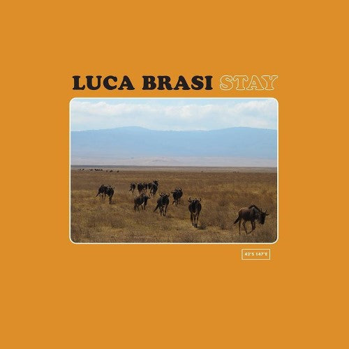 Luca Brasi - Stay (CD)