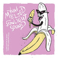 Compilation - That Melted Sunlight Sound (Vinyl LP)