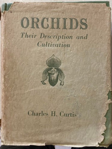 Charles Curtis - Orchids : Their Description & Cultivation (Hardcover)