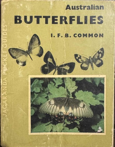 I.F.B Common - Australian Butterflies