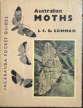 I.F.B Common - Australian Moths