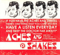 Compilation - Aches And Shakes 2002-2012 : A Decade Of PopBoomerang (CD)