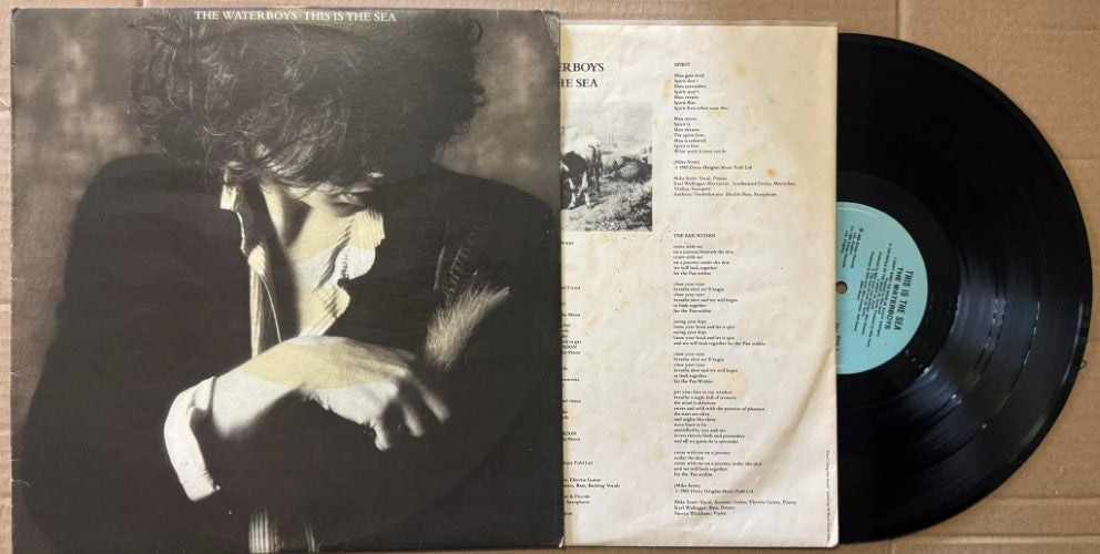 The Waterboys - This Is The Sea (Vinyl LP)