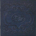 Ryan Adams - Cold Roses (CD)