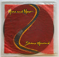 Shane Howard - Here And Now ( Mix) (Vinyl 7'')