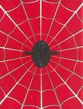 Spiderman - Deluxe Collectors Pack (DVD)