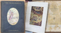 Edith Howes - The Suns Babies (Hardcover)