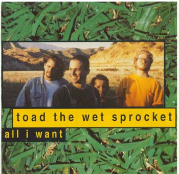 Toad The Wet Sprocket - All I Want (CD)