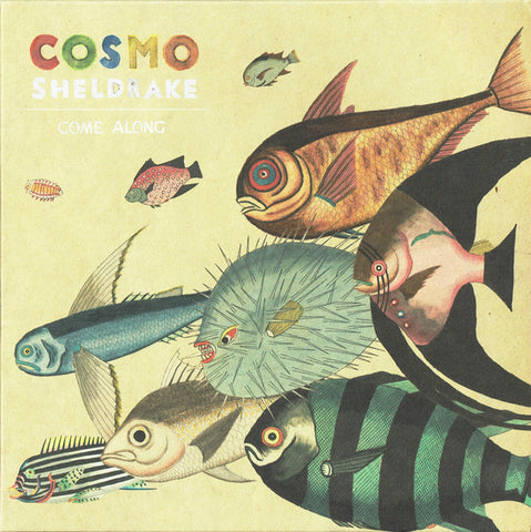 Cosmo Sheldrake - Come Along (Vinyl 7'')