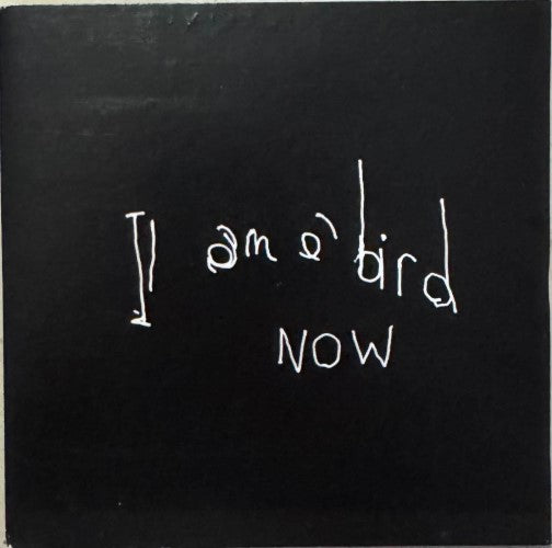 Antony And The Johnsons - I Am A Bird Now (CD)