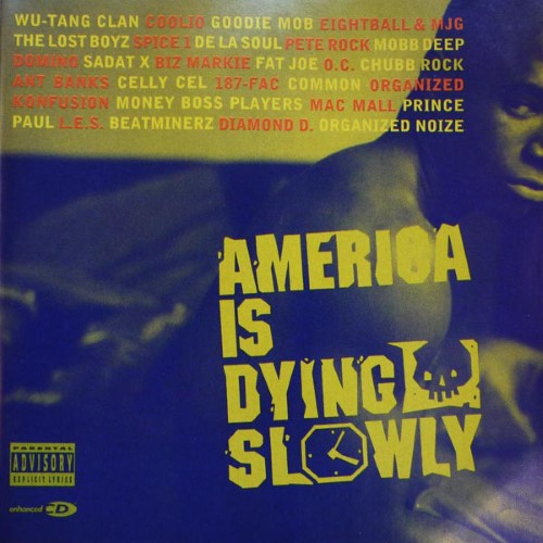 Various Artists - America Is Dying Slowly (CD)