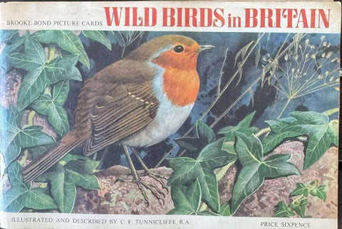 Wild Birds In Britain