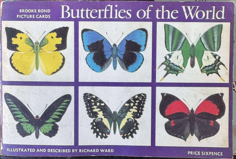 Butterflies Of The World