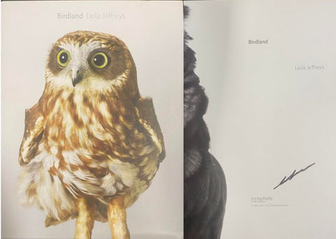 Leila Jeffreys - Birdland (Hardcover)