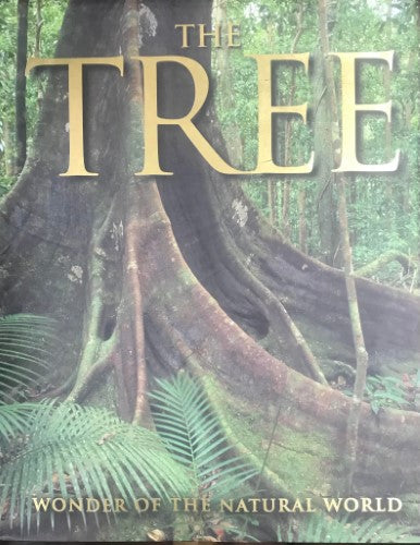 Jenny Linford - The Tree (Hardcover)