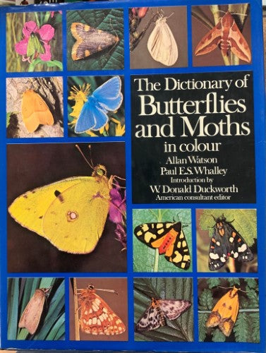 Allan Watson / Paul Whalley Donald Duckworth - The Dictionary Of Butterflies & Moths (Hardcover)