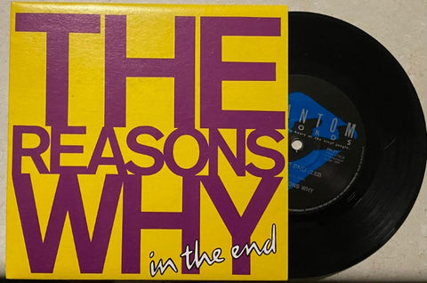 The Reasons Why - In The End (Vinyl 7'')